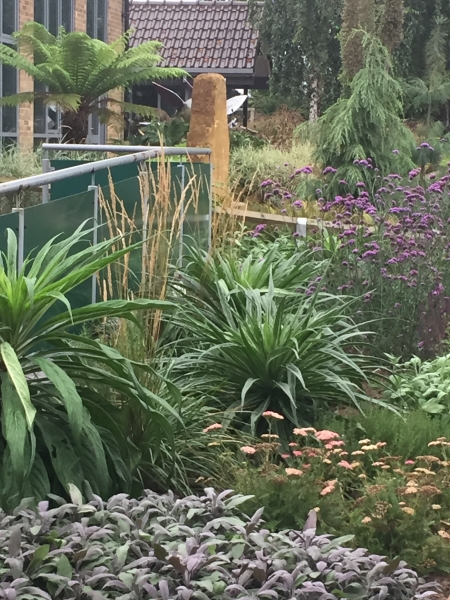 Wicor Primary School Community Garden